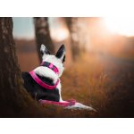 Sweet Energy.cz Sweet obojek No. – Zboží Mobilmania