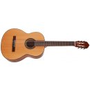 Cort AC100SG