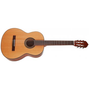 Cort AC100SG