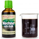 Bylinné kapky Mochna nátržník 50 ml – Hledejceny.cz