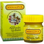 Siddhalepa Ayurvedic Balm 25 g – Zboží Dáma