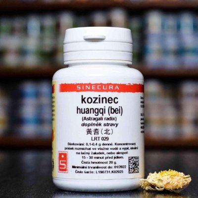 Sinecura Kozinec huangqi bei instantní prášek 20 g – Hledejceny.cz
