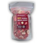 Allnature Mix lyofilizovaného ovoce jahoda malina banán 100 g – Zboží Mobilmania