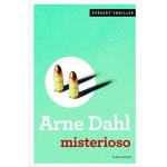 Misterioso - Dahl Arne – Hledejceny.cz