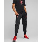 Puma Ferrari Race Metal Energy Pants – Zboží Mobilmania