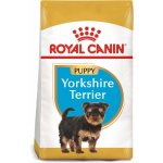 Royal Canin Breed Yorshire Junior 1,5 kg – Hledejceny.cz