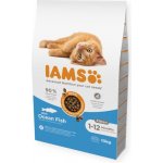 IAMS Advanced Nutrition Kitten s mořskou rybou 10 kg – Zboží Dáma