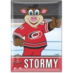 Wincraft Magnet Carolina Hurricanes NHL Metal Magnet MASCOT – Hledejceny.cz