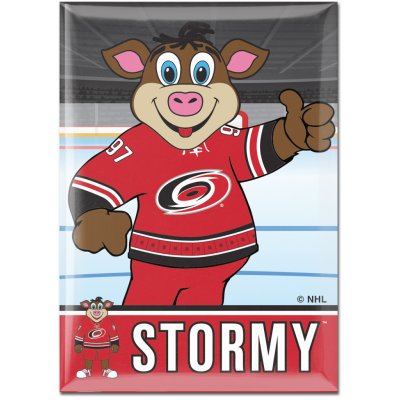 Wincraft Magnet Carolina Hurricanes NHL Metal Magnet MASCOT – Hledejceny.cz