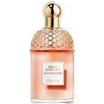 Guerlain Aqua Allegoria Orange Soleia toaletní voda dámská 125 ml – Hledejceny.cz