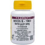 WBO5.9-1969 baihe gujin tang 36 tablet Pragon – Hledejceny.cz