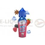 Just Juice Shake & Vape ICE Wild Berries & Aniseed 20 ml – Hledejceny.cz