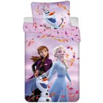 Jerry Fabrics Povlečení Frozen 2 Sky 140x200 70x90 – Zboží Mobilmania