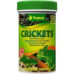 Tropical Crickets 250 ml – Zboží Mobilmania