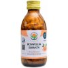 Doplněk stravy Salvia paradise Boswellia serrata 120 kapslí kadidlovník