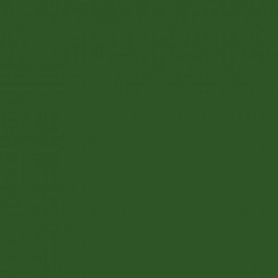 Derwent Procolour 46 Sap Green – Zboží Živě