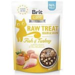 Brit Raw Treat Cat Hair & Skin Fish & Turkey 40 g – Zboží Mobilmania