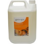 Gaia Spa Esence do sauny Mandarinka 5 l – Hledejceny.cz
