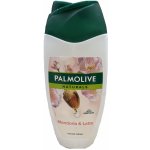 Palmolive Naturals Almond & Milk sprchový gel 250 ml – Zboží Mobilmania