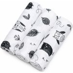 T-Tomi Tetra High quality Owls 3 ks – Sleviste.cz