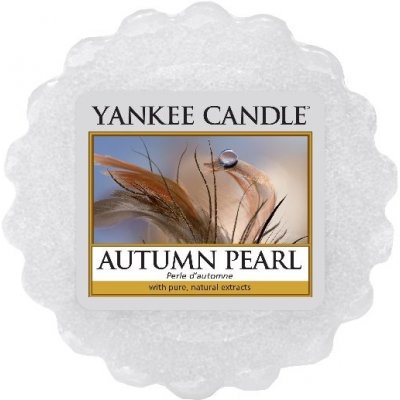 Yankee Candle vonný vosk do aromalampy Podzimní rosa 22 g – Zboží Mobilmania