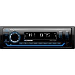 Blaupunkt BP-A1123BT | Zboží Auto