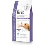Brit Veterinary Diet Dog Grain Free Gastrointestinal Low Fat 12 kg – Zboží Dáma