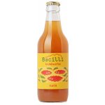 Bacilli fermentovaná limonáda kombucha Maté 330 ml – Hledejceny.cz