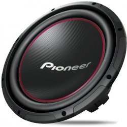 Pioneer TS-W304R