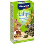 Vitakraft Rodent Lofty´s all rodent 100 g – Sleviste.cz