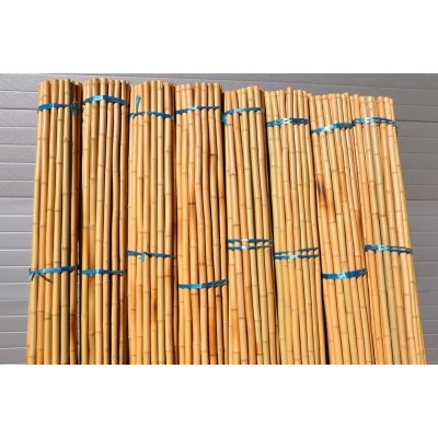 Bambusová tyč délka 2 metry 3- 4 cm