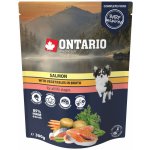 Ontario Adult Salmon with Vegetable in Broth 300 g – Hledejceny.cz