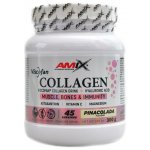Amix Collagen Viscofan pinacolada 300 g – Hledejceny.cz