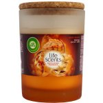 Air Wick Life Scents Mum's Baking 185 g – Hledejceny.cz