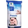 Krmivo pro ostatní zvířata Energys Prémiové krmivo pro prasata Prase A3 MAXI Granule 25 kg