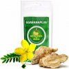 Afrodiziakum GUARANAPLUS Tribulus terrestris + Maca MIX 50/50 prášek 100 g