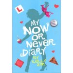 My Now or Never Diary - Rettig Liz – Hledejceny.cz