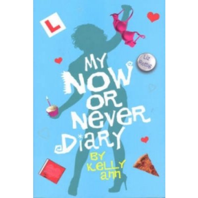 My Now or Never Diary - Rettig Liz – Hledejceny.cz