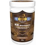 GREEN IDEA MSM PRO KONĚ 0,8 kg – Zboží Mobilmania