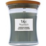 WoodWick Evergreen Cashmere 275 g – Zboží Mobilmania