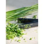 ESSCHERT DESIGN SECRETS DU POTAGER na pažitku 11,5 x 2 x 27,5 cm – Hledejceny.cz