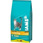 Iams Cat Light Chicken 10 kg – Hledejceny.cz