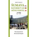 Muž, který si pletl manželku s kloboukem. Neuvěřitelné příběhy a podivné případy lidí s neurologickou nebo psychickou odchylkou - Oliver Sacks - Dybbuk