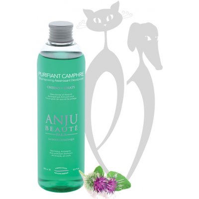 Anju Beauté Purifiant Camphre hluboce čistící 250 ml – Zboží Mobilmania