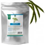 Oro Verde Mesquite prášek 250 g – Hledejceny.cz