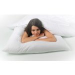 Kvalitex SOUPRAVA LETNÍ ALOE VERA přikrývka polštář 140x200 70x90 – Zboží Dáma