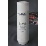 Goldwell DS Silver Šampon pro blond a šedivé vlasy 250 ml – Zboží Dáma