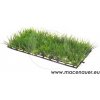 Akvarijní rostlina I--Z Hobby Plant Mat 1 12,5x25 cm koberec