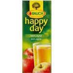 Rauch Happy Day 100% jablko, 200 ml – Zboží Dáma