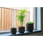 Ter Steege Váza Bolino shiny black D18 H29 – Hledejceny.cz